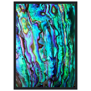 d09a558f-2c01-4973-8104-ea086129024c