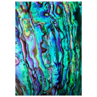 dfc6e081-e7d4-4855-ba3b-97ae8472f9e4